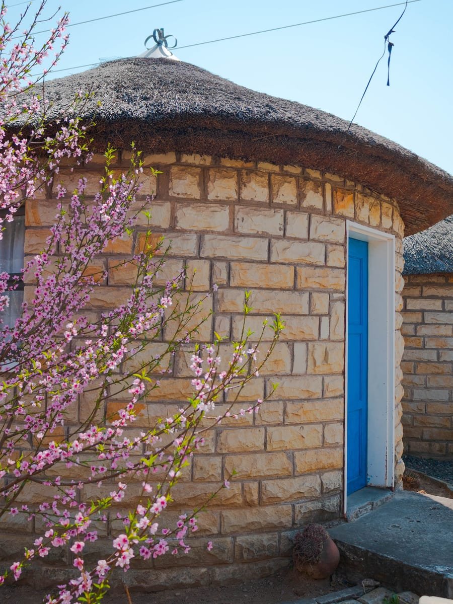 Spring blossom against the sandstone spa wall in Lesotho
